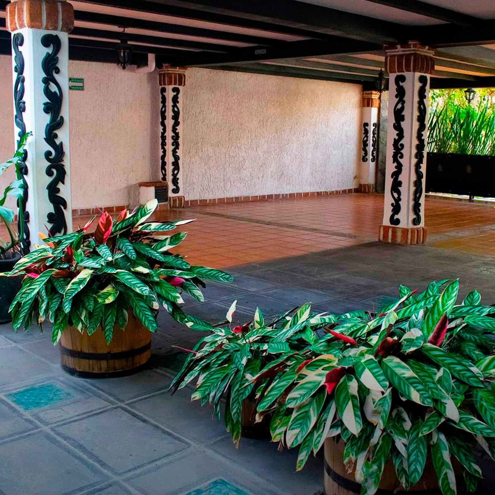 Hotel Boutique La Mansion Guadalajara Exterior photo